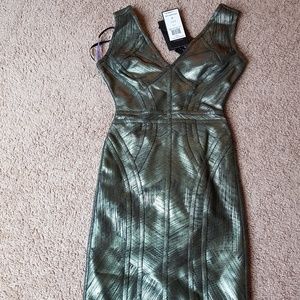 Herve leger dress